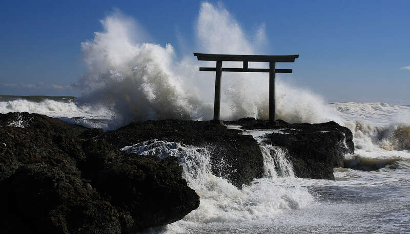 【福島県内発】 国営ひたち海浜公園アイスチューリップと 大洗磯前神社・酒列磯前神社　初詣（日帰り）2