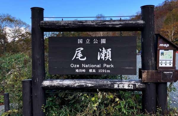 ★催行決定日多数★【新宿発着/朝発日帰り】<鳩待峠>野花咲く遥かな『尾瀬』ハイキング日帰りバスツアー!2