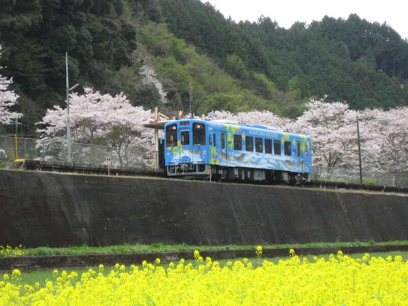 【JR福山駅発】錦帯橋の桜と錦川鉄道・とことこトレインお花見列車　日帰り2