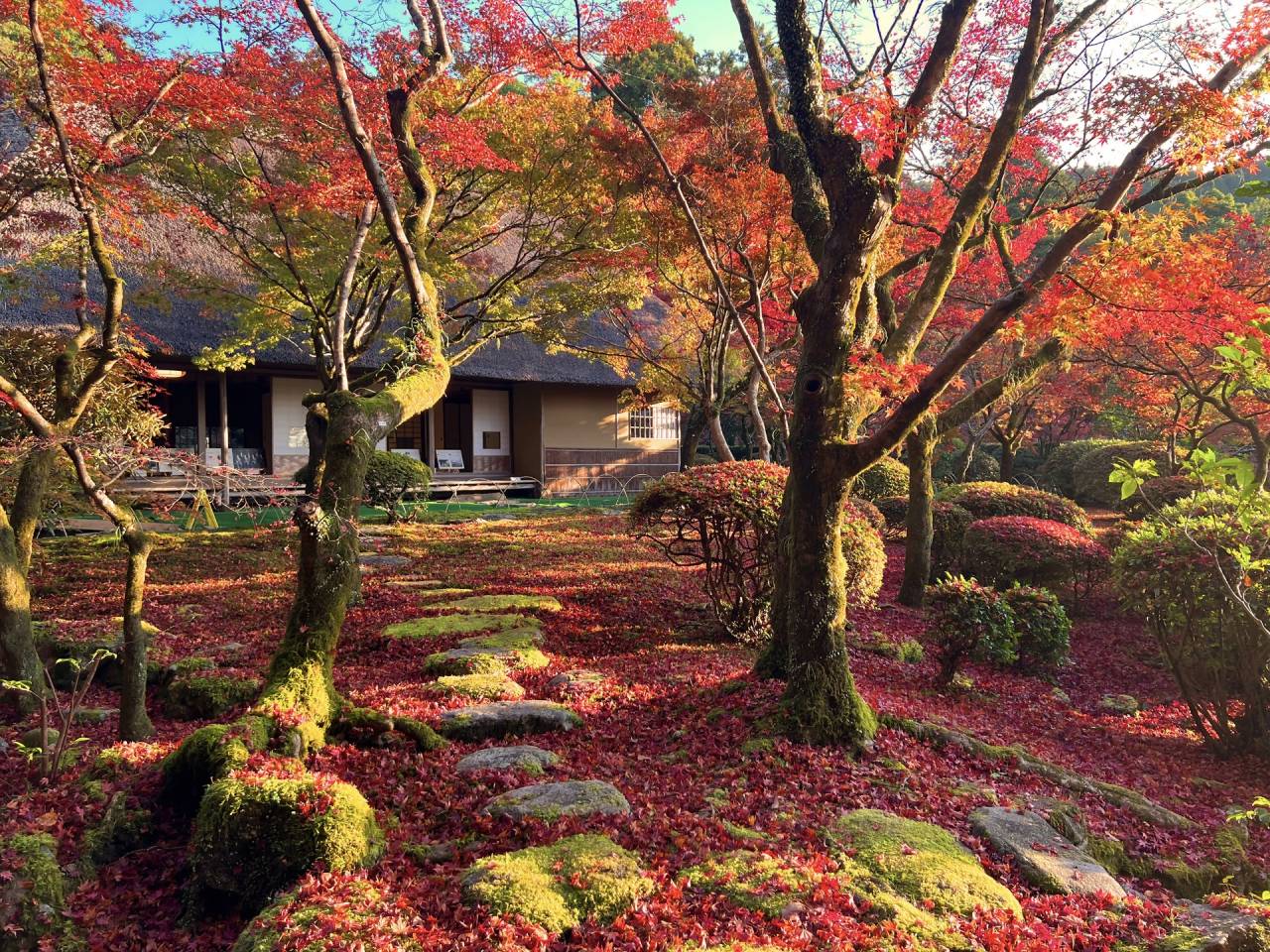 日本有数の紅葉名所！「九年庵」秋の一般公開 2日間【大阪南港発】1