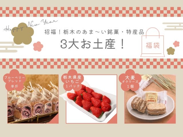 ■【栃木】新春とっておきの旅！超人気店ベーカリー「ペニーレイン」でパン食べ放題付！ハンバーグランチ＆いちご1パック♪人気のお土産付き♪＆あしかがフラワーパーク「光の花の庭」イルミネーション1
