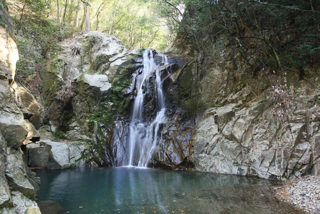 特別史跡「旧閑谷学校」楷の木の紅葉と紅葉に染まる琴弾の滝！山陽・名紅葉めぐりと松茸＆作州黒毛和牛食べ放題【大和八木・橿原神宮発】2