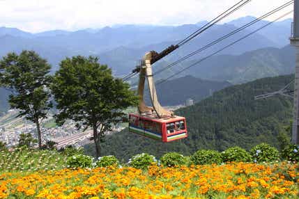 【山形県内発】 世界最大級のロープウェイで秋色空中散歩！ 日本最大級のロックガーデン「湯沢高原アルプの里」・ 国営越後丘陵公園コスモスと 苗場温泉（2日間）