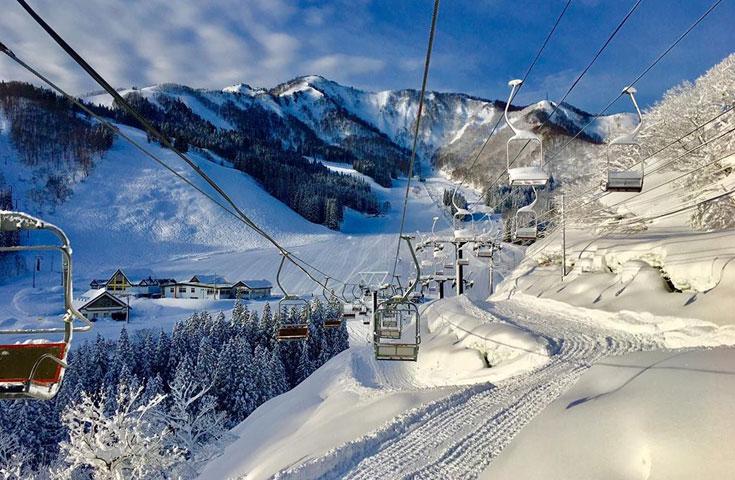[新宿発]【往復バスで行く】朝発 神立スノーリゾート日帰り3