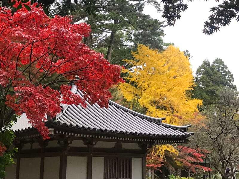 【大分・かんたん・北浜・別府発】 漁港食堂で食す！ガツンと新鮮漁港めし＆ちょっとDeepな福岡の魅力深発見の旅　日帰り【秋のよかバス特集】3