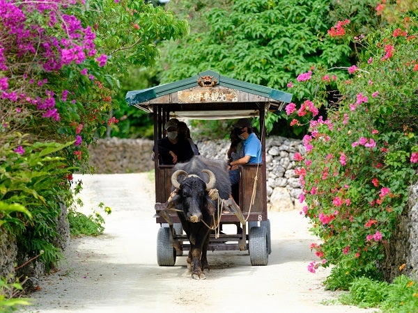 石垣島リゾートホテルでゆっくり2連泊！1