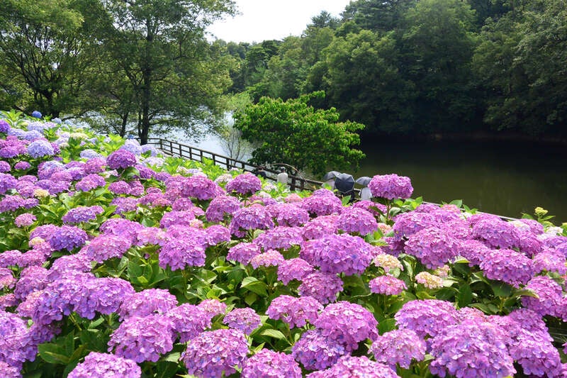 【山口県内発】 読売旅行貸切！大塚国際美術館ナイトミュージアム ２日間3