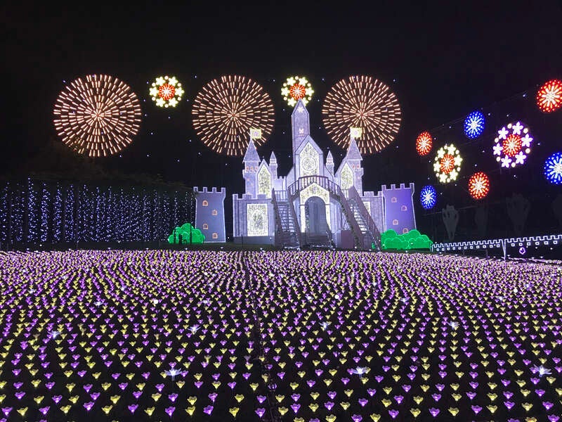 【埼玉県内発】 あしかがフラワーパーク光の花の庭イルミネーションと足利織姫神社ライトアップ・ 地元で人気レストランTSUMIKI　日帰り2