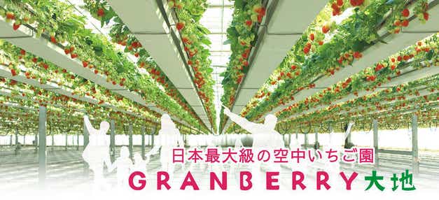 【千葉県内発】 <WEB限定特別企画>聖なる日クリスマスイブ発限定! 夜の空中いちご狩り食べ放題と 幻想的ないばらきフラワーパークイルミネーション