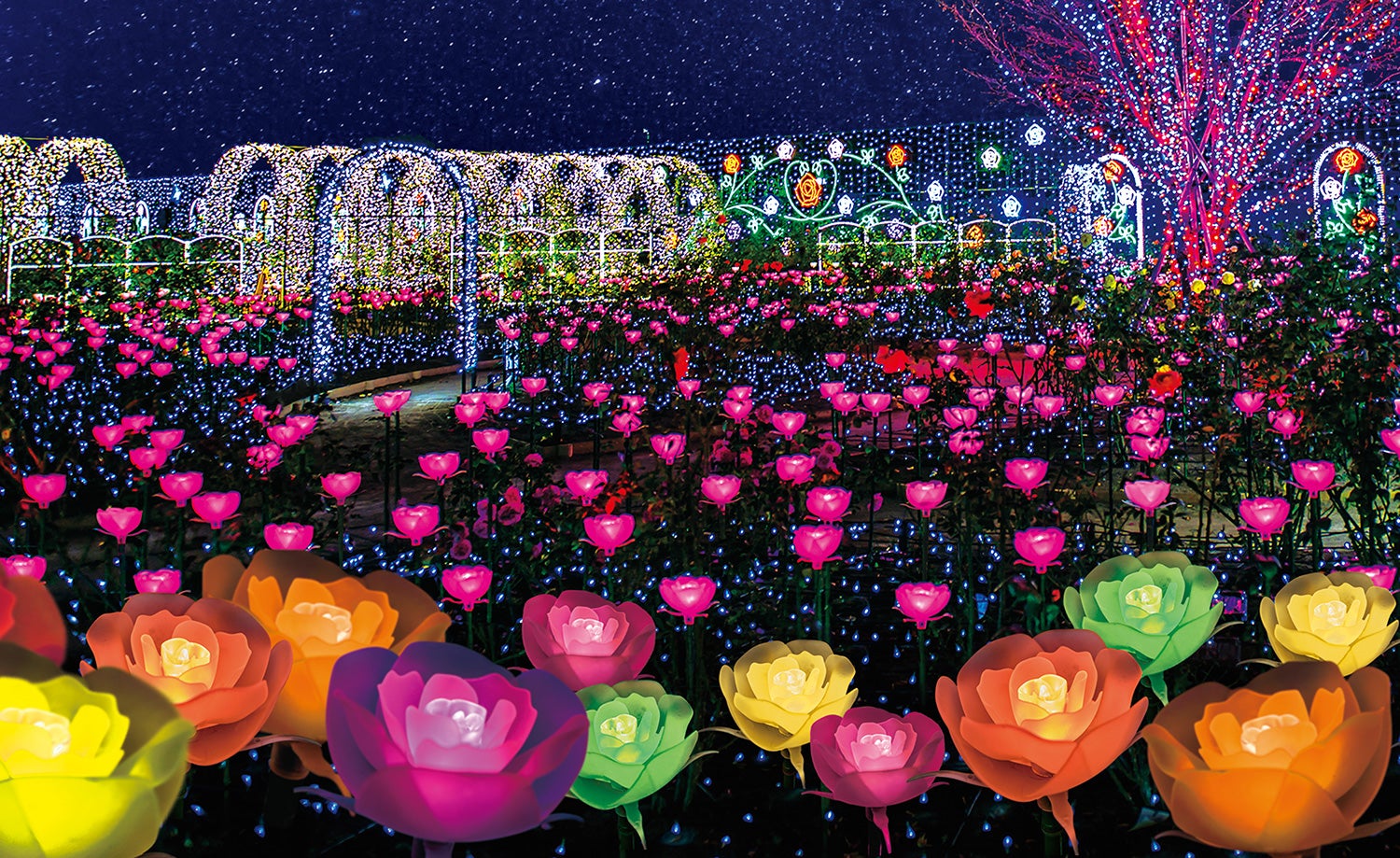 【京成船橋発】～ニューイヤーイルミネーション～「あしかがフラワーパーク」光の花の庭＆いちご狩り＜コースNo.25-1131-A＞（京成トラベル）1