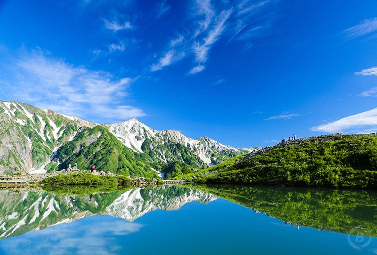 【白馬駅発】初心者でも気軽に楽しめる！ガイドと行く五竜高山植物園と絶景の八方池トレッキングツアー1