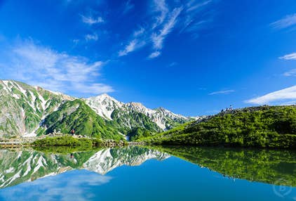 【白馬駅発】初心者でも気軽に楽しめる！ガイドと行く五竜高山植物園と絶景の八方池トレッキングツアー