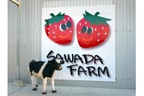 【春日井・小牧発】＊日帰り昼食付＊『知多森牧場のヒレステーキランチといちご狩り』3