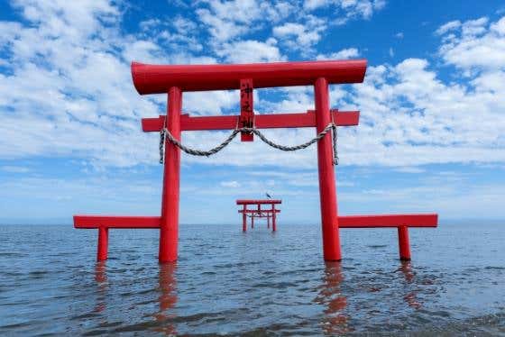【バスハイク／福岡天神発着】添乗員同行 有明海のめぐみ「竹崎カニ」を食す！グルメとフォトジェニックの佐賀紀行～国内唯一のバルーンミュージアム・有明海に建つ大魚神社・肥前浜宿の酒蔵で伝統の味～2