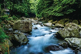 龍野・姫路発
北摂随一の名勝地 摂津峡