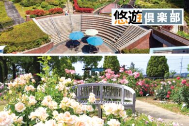 【広島駅新幹線口・福山SA発着／日帰り】花と緑　癒やしのガーデンめぐり【RSKバラ園＆岡山市半田山植物園】1