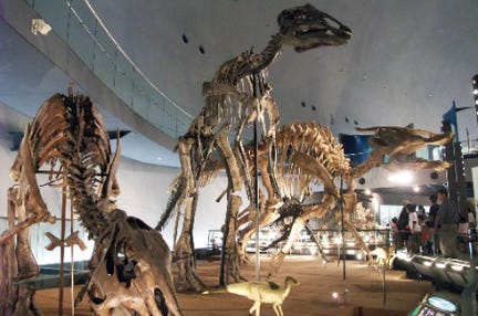 【静岡県内発着】春の高山祭と兼六園・永平寺・福井県立恐竜博物館 2日間