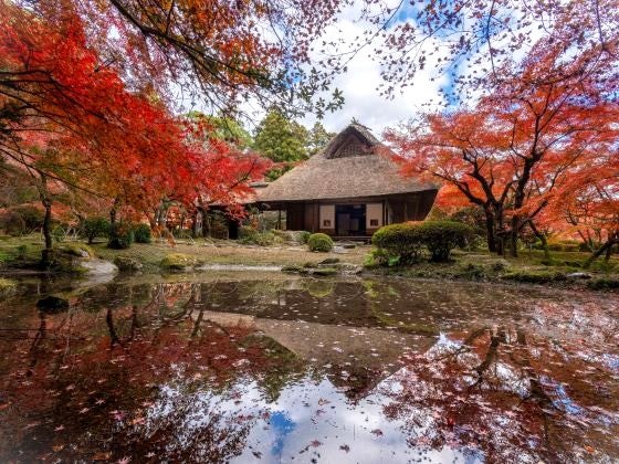 【バスハイク／天神(福岡)発着／添乗員同行】 環境芸術の森と九年庵の紅葉めぐり 佐賀・有明海干拓地に広がる畑で育ったレッドコーンのお土産付き♪2