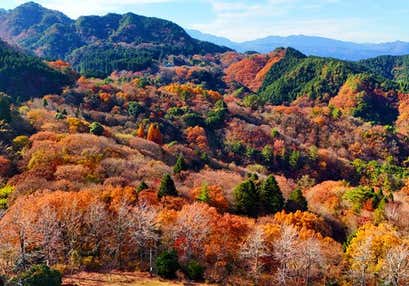 平成森林公園紅葉の森探訪と東洋のチロル由布川峡谷