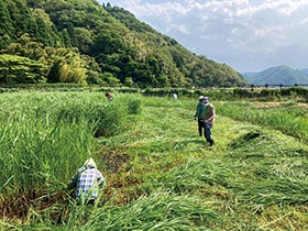 コウノトリを救う！餌場づくり体験と名湯城崎温泉ご宿泊1