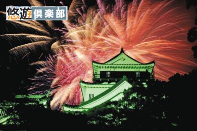 【広島駅・福山駅発着／新幹線利用】【日本のまつり】岡崎城下家康公夏まつり第78回花火大会２日間 ～三河花火発祥の地で受け継がれる花火職人の匠の技を堪能～1