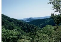 【岐阜・うずら・羽島発】 *日帰り軽食弁当付*Let’sハイキング!『熊野古道荷坂峠を歩こう』