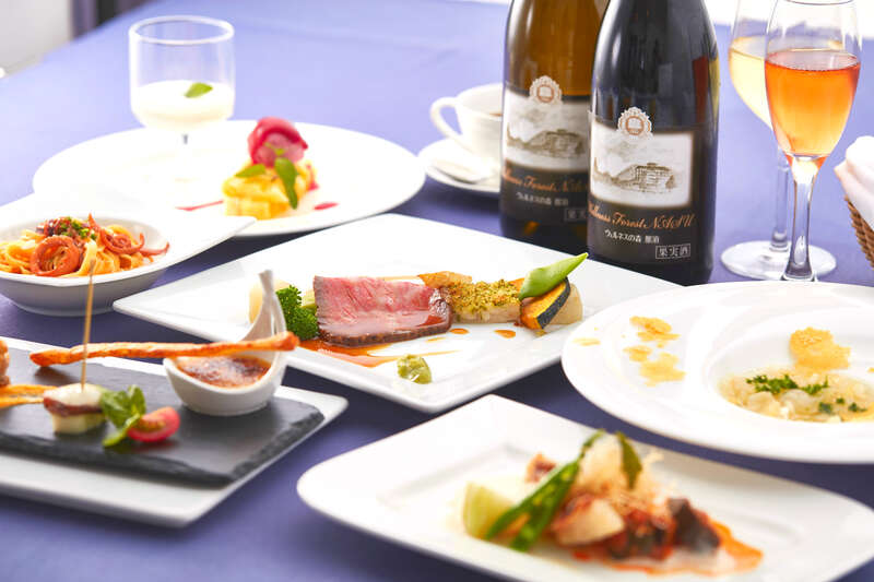 【東京駅・上野駅・大宮駅・宇都宮駅発】 【列車+宿泊】 ＜入湯税は現地払い＞往復新幹線利用！人気のリゾート避暑地　ウェルネスの森那須２日間3