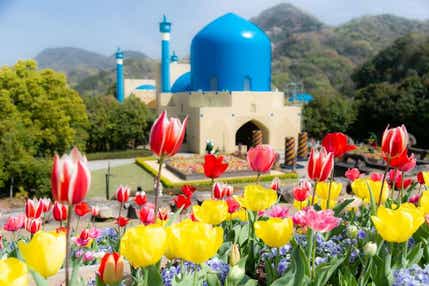 【愛媛県内発】 レオマリゾート「チューリップ祭」と天空の鏡「父母ヶ浜」 日帰り