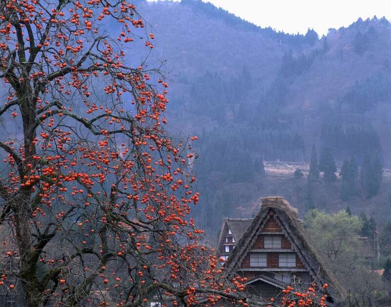 【佐賀県内・早岐／博多駅発】 シルバーウィーク・秋の連休に行く！世界遺産白川郷・兼六園・高山・永平寺３日間2