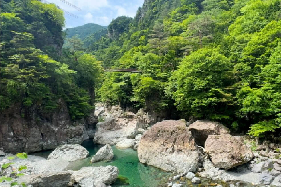＜奈良＞若葉芽吹くみたらい渓谷ハイキングと昭和風情香る洞川温泉街ご散策【西神中央・明石出発】2