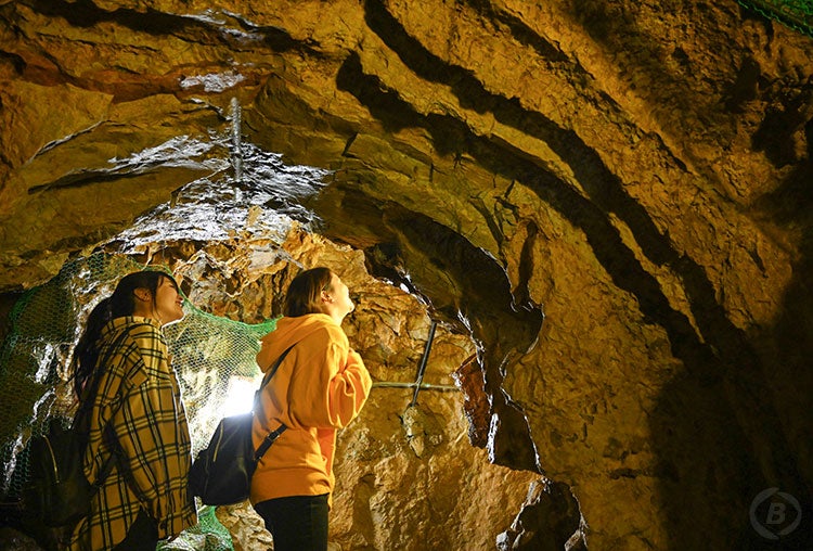 【大阪・梅田発】8/8（土）、8/29（土）チャンピオン近江牛フルコースを食す日帰りバスツアー（トイレ付バス利用）3