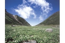 【デラックスシアタールーム用】〔遊山〕＊１泊２日4食付き＊『上高地ルミエスタホテルと雲上の楽園 乗鞍畳平』3