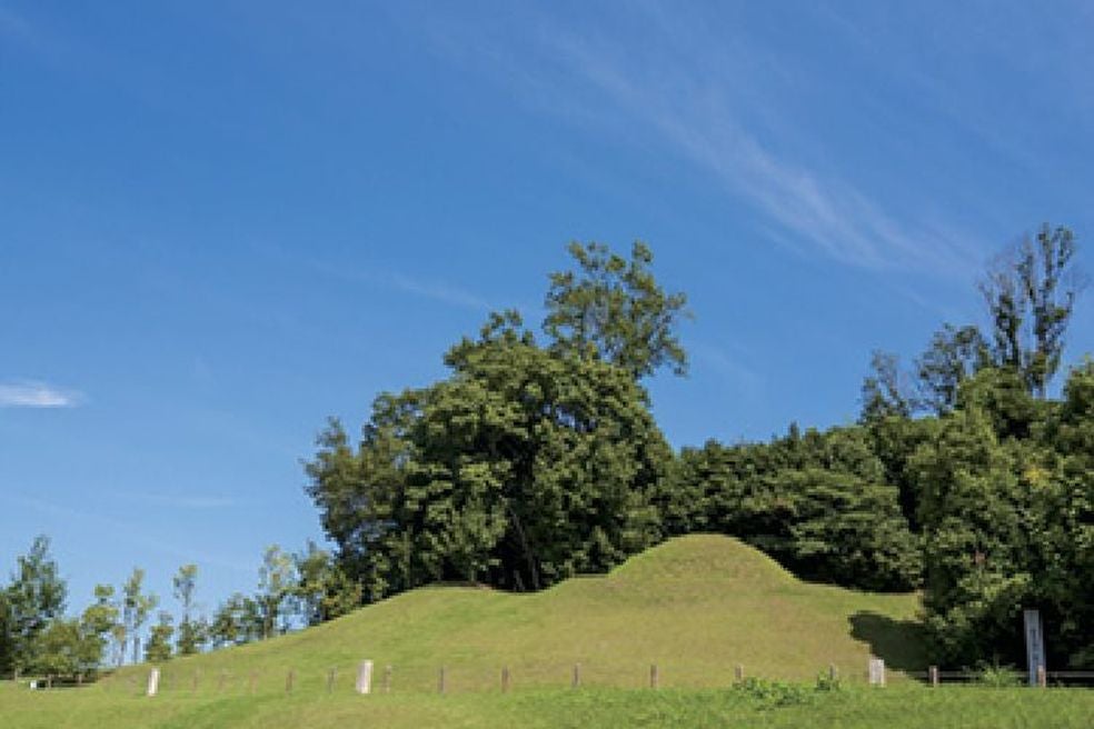 ＜奈良＞祝！世界遺産登録　奈良まほろばソムリエの会のガイドさんと行く 飛鳥古墳めぐりウォーク【垂水･名谷出発】1