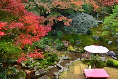 秋の近江を彩る紅葉と近江牛会席2日間～旧竹林院・日吉大社・西教寺・教林坊・永源寺～3