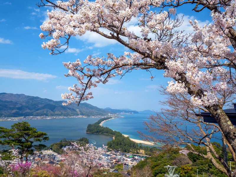 【高崎駅発】 世界遺産　吉野千本桜と 湯村温泉・日本三名泉の有馬温泉　3日間2