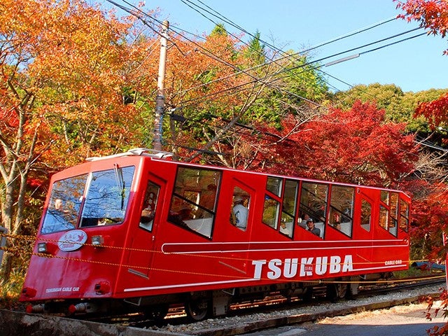 ■【茨城】秋の茨城十色♪錦秋絶佳の庭園「最勝寺」×紅葉パノラマ「筑波山ケーブルカー」へ！常陸牛焼肉弁当＆「みかん狩り食べ放題！柿2個お土産付き！」1