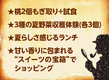 【八千代台発】夏を楽しもう！桃狩り・野菜収穫体験 ミステリーツアー＜コースNo.26-1044-C＞（京成トラベル）1
