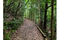 【西尾・岡崎発】＊日帰り軽食弁当付＊Ｌｅｔ’ｓハイキング！『≪ハイキングツアー≫ 熊野古道女鬼峠を歩こう』1