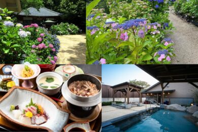 【広島駅新幹線口発着／日帰り】あじさいと美肌の湯・湯野温泉～瀬戸内のたこ釜めしのご昼食～ 東大寺別院阿弥陀寺80種4,000株と山口県最大級果子乃季総本店約150種20,000株1