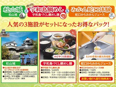 ■【松山空港利用】松山城と絶品宇和島鯛めし＆みかん蛇口体験クーポン付き　愛媛ホテルチョイス　2泊3日