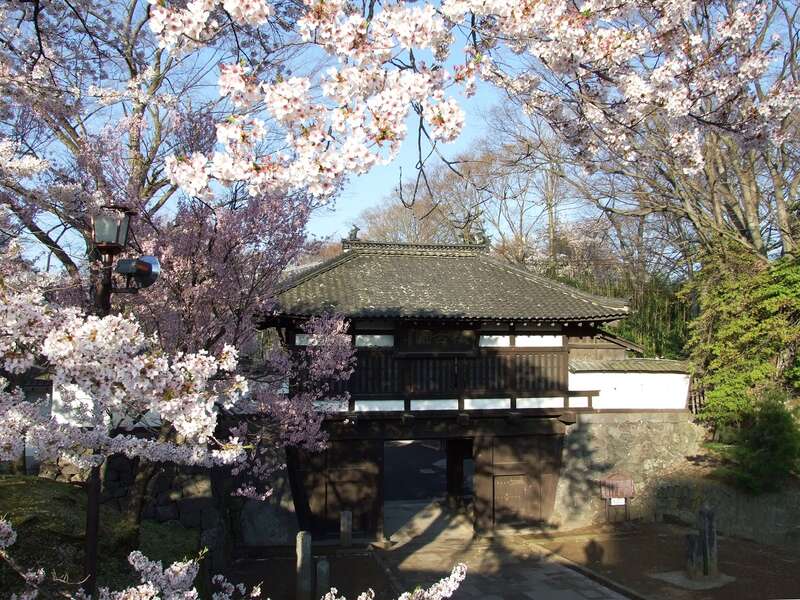 【函館空港発】 《日本100名城めぐり》関東編 その３ ～山梨・長野県編～ （３日間）2