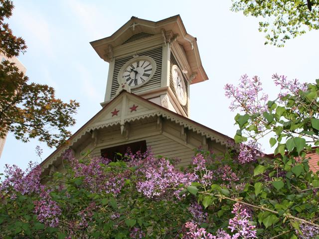■【JALで行く】≪函館空港⇒新千歳空港≫人気の2都市「札幌・函館」を一度にめぐるならこのプランがおすすめ！みなみ北海道チョイスプラン1泊2日（フリープラン）1