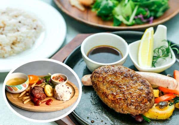 御船町恐竜博物館とママトコキッチンのハンバーグランチと天然クーラーの菊池渓谷2