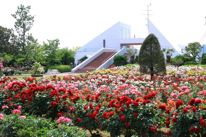 【出雲・斐川・松江・米子発】母の日ミステリーツアー　日帰り1