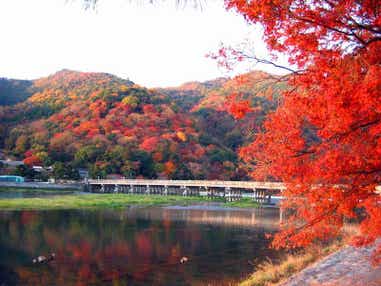 【山口県内／小倉駅発】 往復フェリー利用　秋色の世界遺産と名所をめぐる京都3日間　山口県内／小倉駅発着［表示料金は小倉発着］（※新山口駅発着は6,000円増し／厚狭駅発着は5,000円増し／新下関駅発着は2,000円増し／徳山駅発着は9,000円増し）