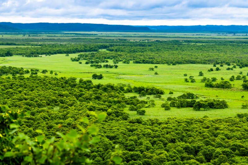 【花巻空港発】 北海道ぐるり大周遊７日間！8つの国立・国定公園、２２の絶景と4つの名湯・6つの岬めぐり　ノシャップ岬・宗谷岬・能取岬・納沙布岬・霧多布岬・襟裳岬3