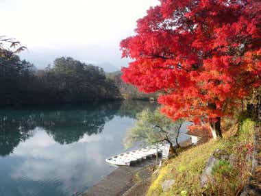 【埼玉県内発】 南東北絶景紅葉ハイライト 乳白色の名湯「蔵王温泉」2日間