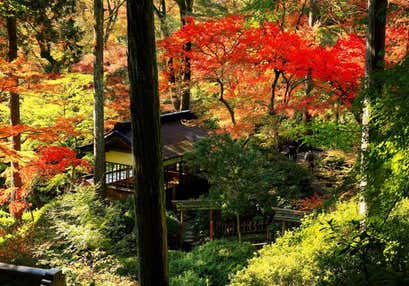 大興善寺もみじ狩りと秘仏特別公開と泉山磁石場特別公開