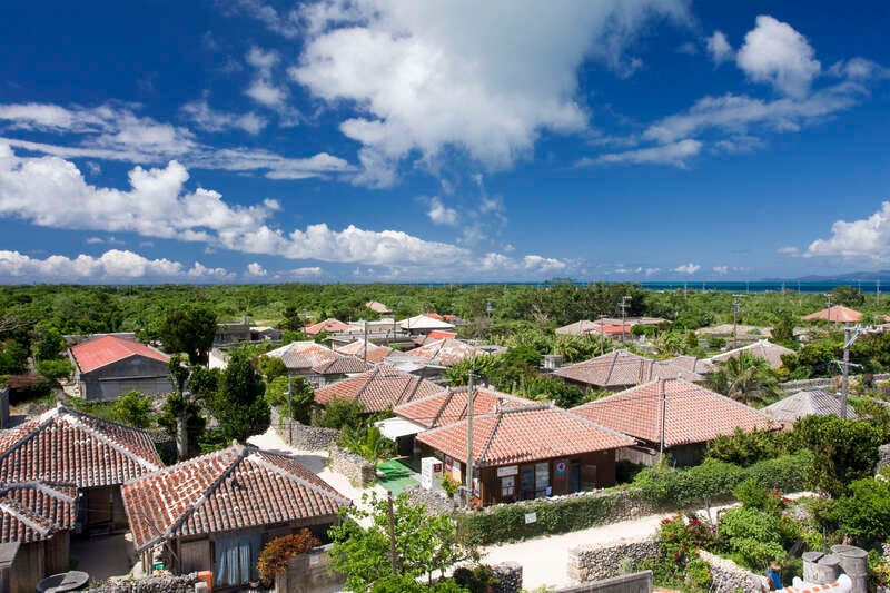 【岡山空港発】 南国の楽園！八重山4島めぐり～石垣島・由布島・竹富島・西表島～3