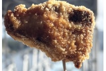 ◎WEB予約でリボンポイント３ポイント◎【春日井車庫・小牧発】＊日帰り昼食付＊『三方五湖ネイチャークルーズ＆レインボーライン』3